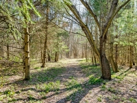 6thLS-print-05100-Trail-Through-Woods