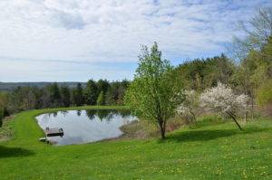 707380-Dufferin-County-Rd-21-large-012-5-South-Pond-1500x994-72dpi